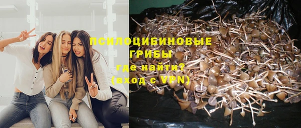 каннабис Абдулино