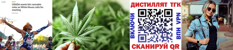 ТГК концентрат  Советский 