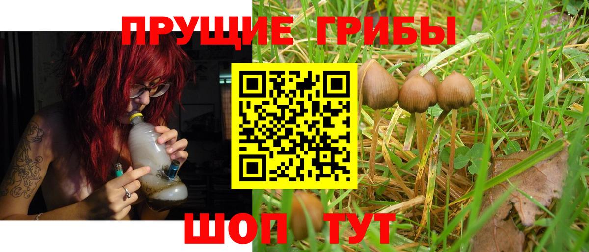 Галлюциногенные грибы прущие грибы  Вход с VPN  Советский 